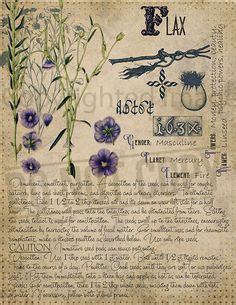 Harness the Energy of Flax in Your Witchcraft Practice with Etsy